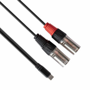 rubiQube TCDXL Type C to dual XLR male 1.8m